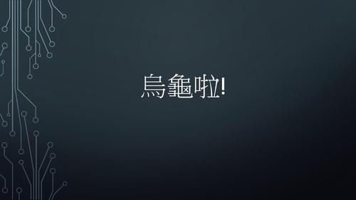 烏龜啦! 烏龜啦!