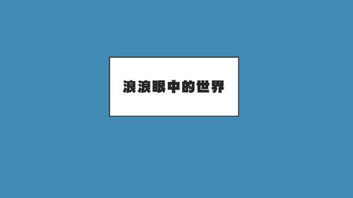 浪浪眼中的世界 浪浪眼中的世界