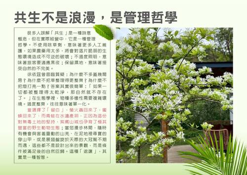 為自然留白-內文