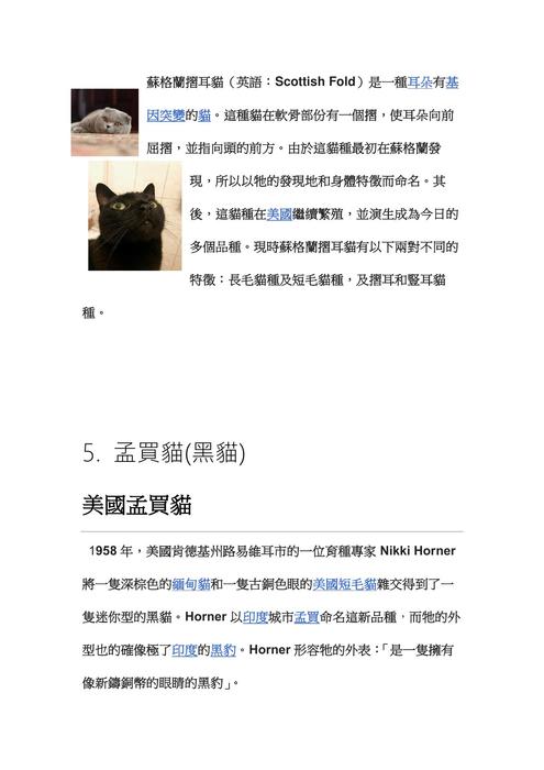 探索貓咪品種 (1) 探索貓咪品種 (1)