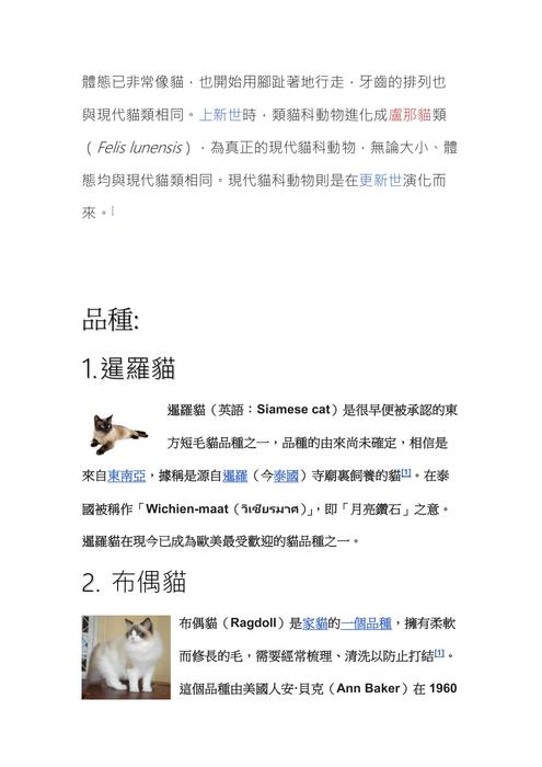 探索貓咪品種 (1) 探索貓咪品種 (1)